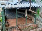 Dog Cage