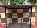 Dog Cage