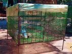 Dog Cage