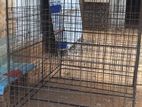 Dog Cage