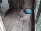 Dog Cage