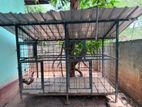 Dog Cage