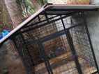 Dog Cage