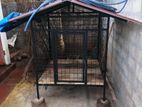 Dog Cage