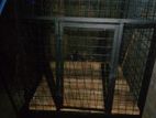 Dog Cage