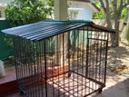 Dog Cage