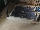 Dog Cage