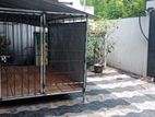 Dog Cage