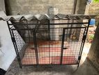 Dog Cage