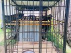 Dog Cage
