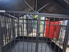 Dog Cage