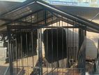 Dog Cage