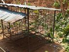 Dog Cage