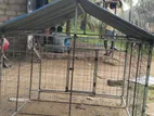 Dog Cage