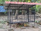 Dog Cage