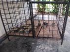 Dog Cage