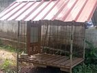 Dog Cage
