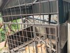 Dog Cage