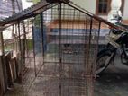 Dog Cage