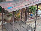 Dog Cage