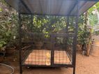 Dog Cage