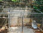 Dog Cage