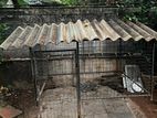Dog Cage