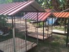 Dog Cage Making - Kaduwela