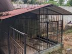 Dog Cage