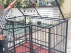 Dog Cages