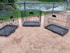 Dog Cages