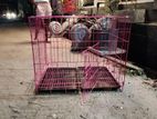Dog Cages
