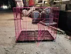 Dog Cages