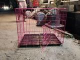 Dog Cages