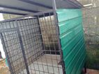 Dog Cage
