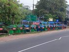 Dog Cages