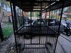 Dog Cages