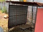 dog cages