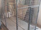 Dog Cage