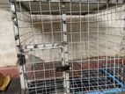 Dog cages