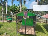 Dog Cages Large