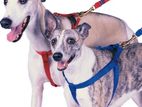 Dog Harness With Leash