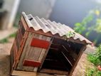 Dog House