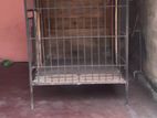 Dog House