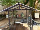 Dog Cage