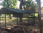 Dog Kennel