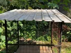 Dog Kennel