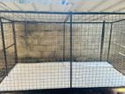 Dog Kennel