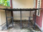 Dog Kennel