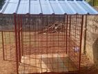 Dog Cage